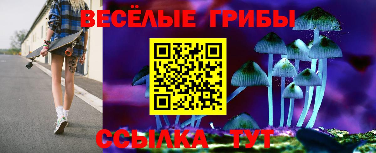 Псилоцибиновые грибы Psilocybine cubensis  Вход с VPN  Пугачёв 